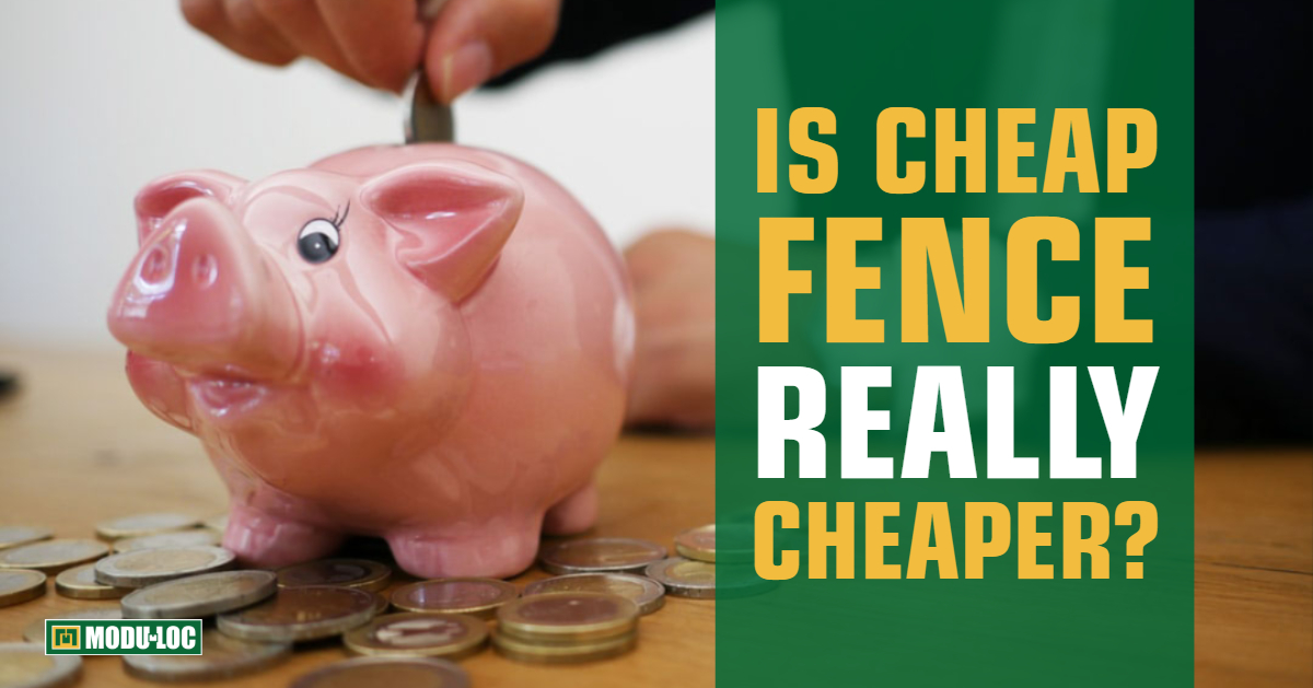 A person drops a coin into a piggy bank, with text overlay that reads "Is Cheap Fence Really Cheaper?"