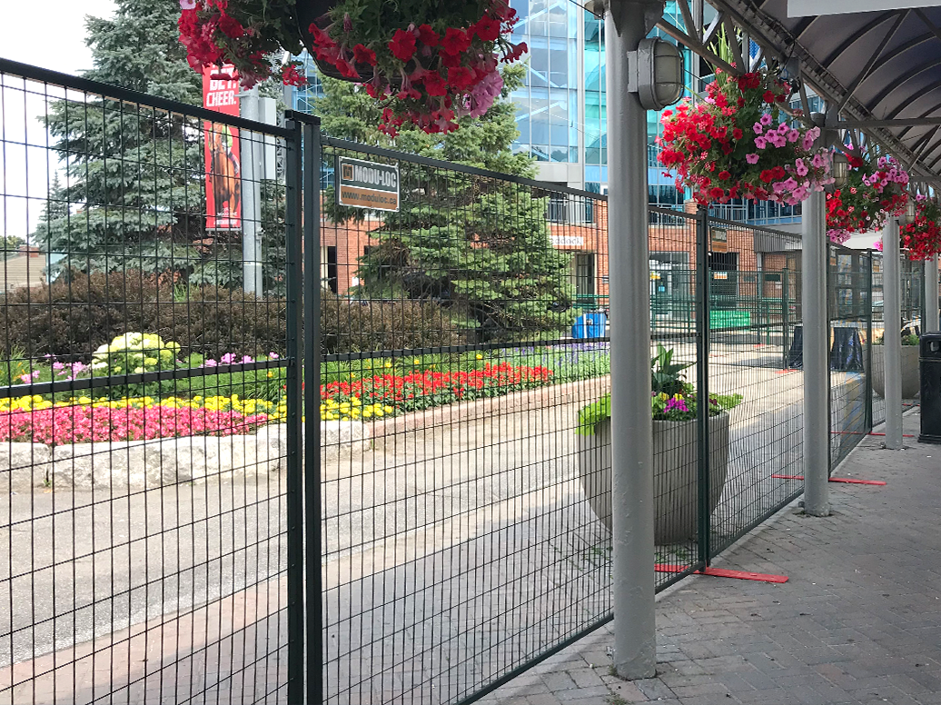 Panneaux de clôture à revêtement en poudre vert de 6 pi